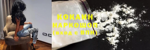мет Алексин