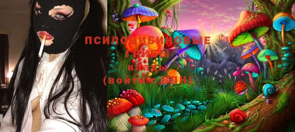 мет Алексин