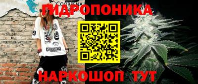 мяу мяу кристалл Гусь-Хрустальный