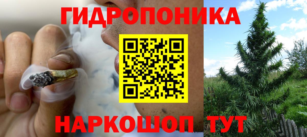 Бошки марихуана White Widow Менделеевск